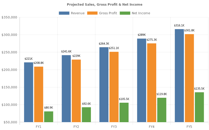 Crossfit gym financial projections