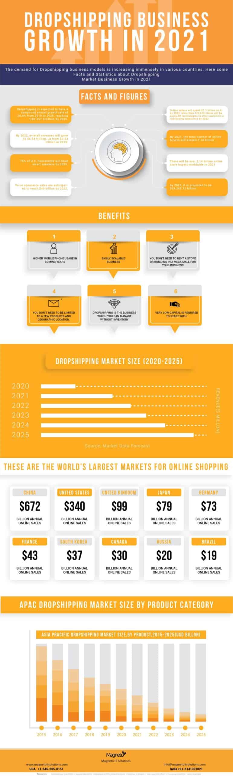 Dropshipping Business Growth in 2021 Infographic