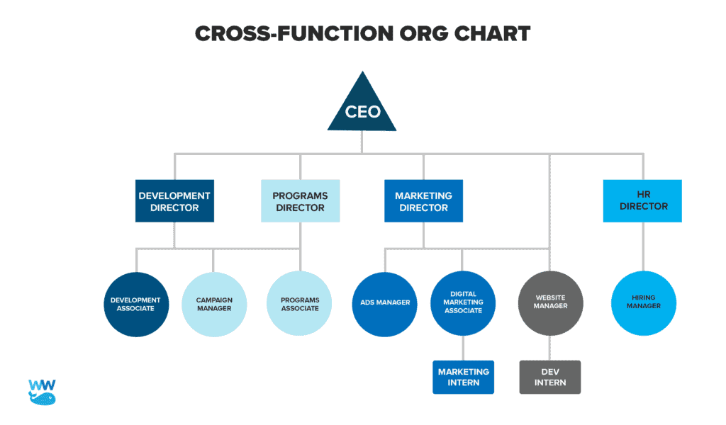 example nonprofit organization chart