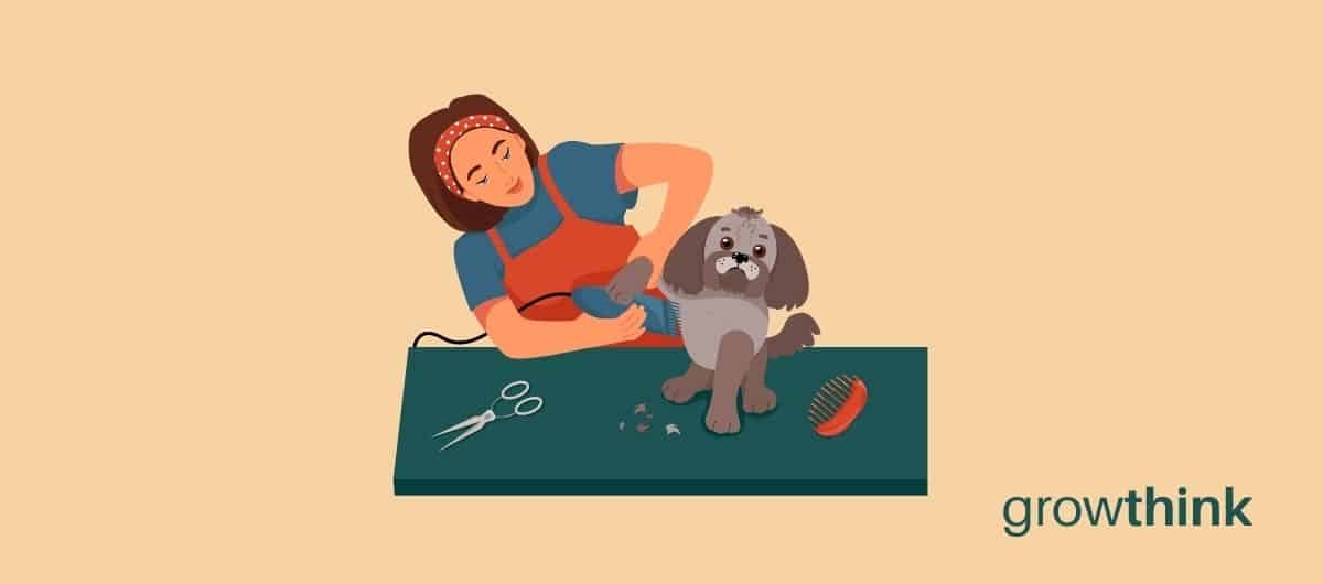 pet grooming business plan