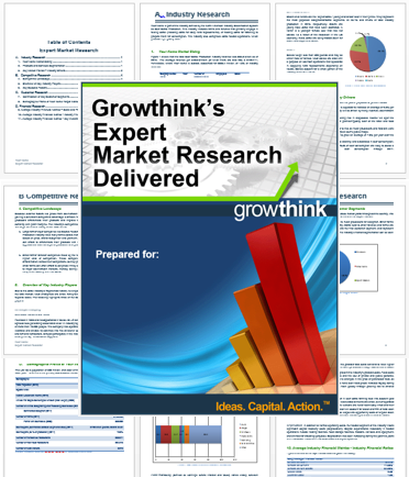 Growthink Expert Market Research Delivered