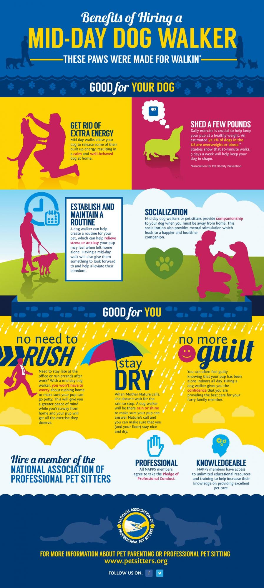 Benefits of Hiring a Mid-Day Dog Walker infographic