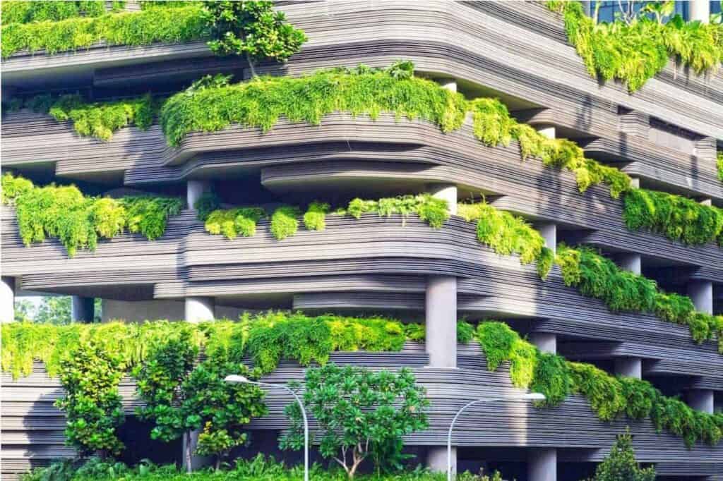 building with green plants
