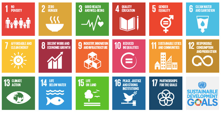 Icons of sustainable development goals