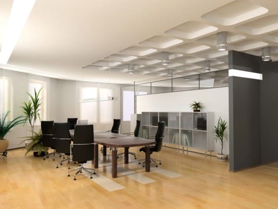 Clean office interior with indoor plants